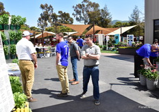 Visitors checking out the varieties at the Ball Horticultural location.